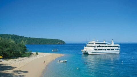 A large white yacht is anchored near a small sandy beach with clear blue water, perfect for ecotourism. A smaller boat is nearby, and a person stands on the beach. Trees cover a hill in the background.