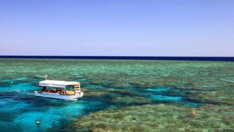 A small boat with passengers floats on clear, turquoise water above a coral reef, under a clear sky with a dark blue horizon in the background, showcasing the beauty of ecotourism.