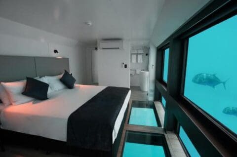 A modern underwater hotel room with a large bed, glass floor panels, and windows offering breathtaking views of the ocean and marine life outside, perfect for those on a Whitsundays cruise seeking an unforgettable experience.