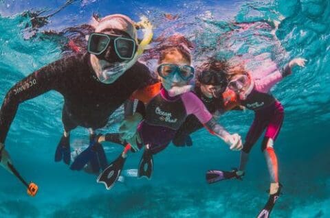 Four people in snorkeling gear are underwater, wearing wetsuits and masks. They are in the clear blue waters of Ningaloo, looking towards the camera, enjoying the marine wonders off their sailboat.