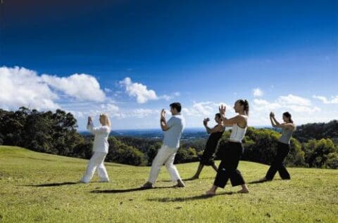 A group of individuals practice Tai Chi on a grassy field at the serene Gwinganna lifestyle retreat, with a scenic background of trees and a clear blue sky.