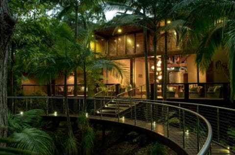Modern house with large windows and a curved wooden walkway surrounded by lush greenery, offering the perfect lifestyle retreat reminiscent of Gwinganna's serene ambiance.