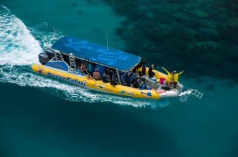 Aerial view of a yellow boat with a blue canopy moving on clear turquoise water near Cape Tribulation. Passengers are sitting, standing, and waving on board during their Ocean Safari adventure.