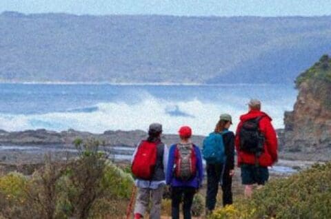 Four hikers with backpacks stand on a coastal path overlooking the ocean, with rugged hills of Otway in the background. Waves crash against the shore in the distance, making it a perfect spot for eco tours.