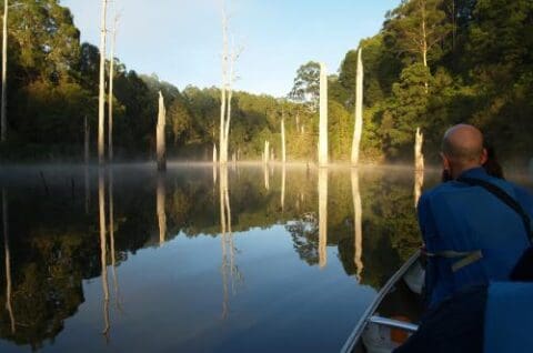 A person in a blue jacket sits on a boat in calm water, surrounded by trees and tree stumps, with a misty ambiance—a perfect scene for Otway eco tours.