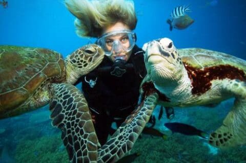 A scuba diver underwater between two sea turtles, with other fish visible in the background, highlighting the beauty of ecotourism.