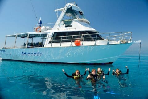 A group of four snorkelers in the water, next to a white boat named "Adrenalin," explores the beauty of nature under a clear blue sky on an eco-friendly tour.