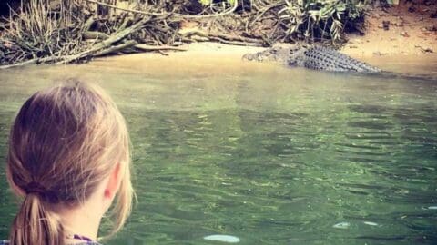 A person with light brown hair observes an alligator resting partially submerged in water near a riverbank with overhanging roots during a nature tour.