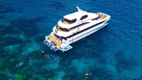 An aerial view of a large boat anchored in clear blue water, with people swimming and snorkeling nearby, highlights a perfect ecotourism experience.