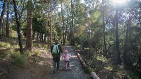 An adult and a child walking down a sunlit forest path with the child pushing a bike.