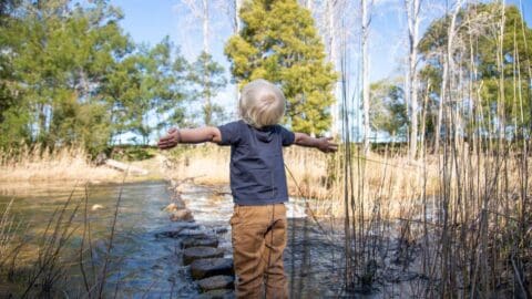 Child with blonde hair stands on stepping stones in a shallow stream, arms outstretched, facing a tall tree and surrounding greenery on a clear day.