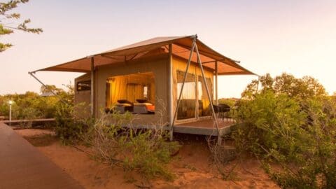 A glamping tent set on a raised platform amidst natural surroundings at sunset, with outdoor furnishings and a canopy covering the structure, offers an eco-resort experience just steps away from the beach.