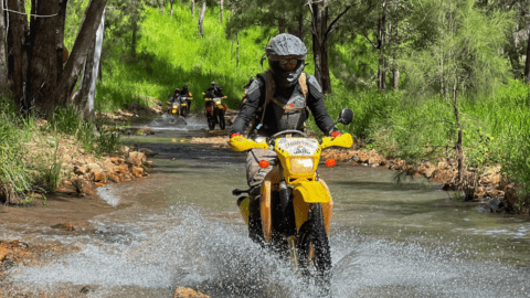 Ellwood motorcycle adventures cheap