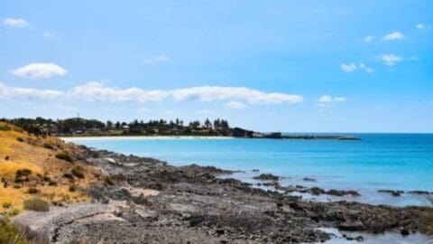 A scenic coastal view shows a rocky shoreline leading to a calm, blue ocean under a clear sky with a few scattered clouds. Trees and buildings, part of an ecotourism initiative, are visible in the background.