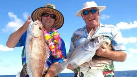 Two men in hats with sunglasses, standing in front of an ocean backdrop, each holding a large fish they caught while on their Tasman Venture, wearing casual clothing with colorful leis.