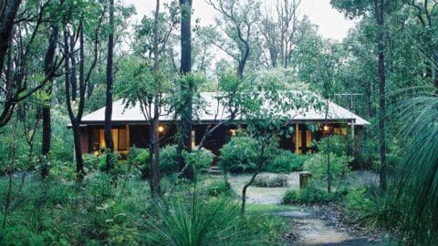 A small house with a white roof is surrounded by trees and dense nature in a forest setting. The accommodation has several illuminated windows and a path leading to the entrance.