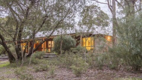 A single-story house with a metal roof is surrounded by trees and bushes. Warm light glows from its windows, creating a cozy atmosphere in the wooded setting. This sustainable home invites you to take a tour and experience its charm firsthand.