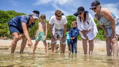A group of people standing on a sunny beach, possibly part of an ecotourism tour, looking intently at something in the shallow water.