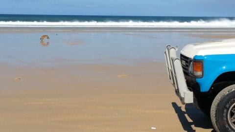 A beach scene with waves in the background. A blue and white vehicle is parked on the sand, offering a glimpse of local ecotourism. A dog is visible near the shoreline.