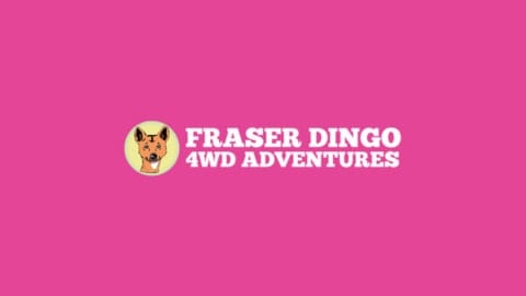 Logo of Fraser Dingo 4WD Adventures featuring an illustrated dingo face on a pink background with white text, promoting sustainable travel.