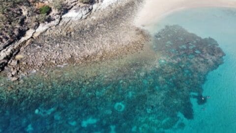 Aerial view of a rocky shoreline with clear turquoise water, showing the transition from land to sea. The water gradually changes color as it deepens, indicating coral or underwater rocky areas, making it an ideal spot for an ecotourism adventure.