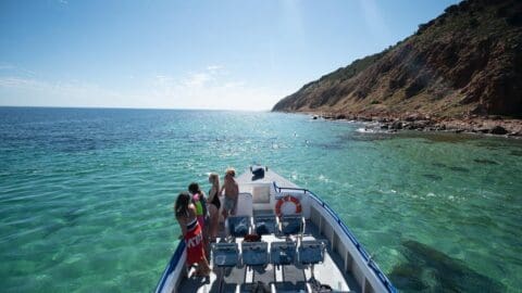 A group of people stand at the bow of a boat, embracing ecotourism, as they overlook clear turquoise water and a rocky coastline under a bright sky.