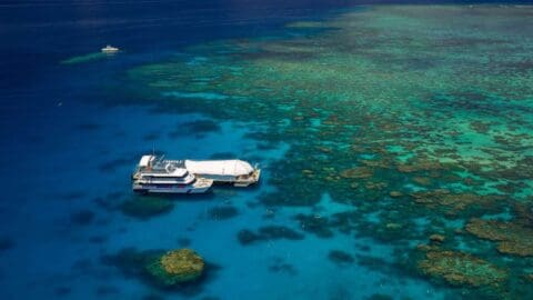 Aerial view of a large boat docked at a floating platform in a blue, coral-rich ocean. Another smaller boat, part of an ecotourism venture, is seen in the distance near the reef.