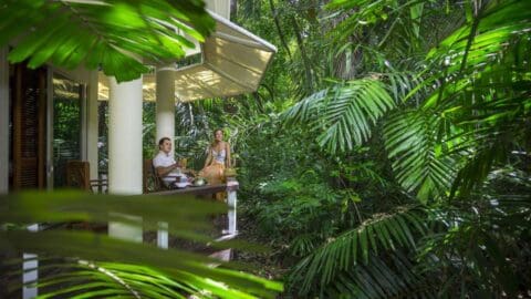 Two people sit at an outdoor table on a porch surrounded by lush foliage and trees, enjoying the serene atmosphere of nature.