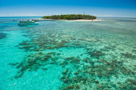 A small boat approaches a lush island surrounded by clear, turquoise waters and a visible coral reef. A wooden pier extends from the island into the sea, inviting visitors to explore. The sky is clear and blue, perfect for an ecotourism adventure.