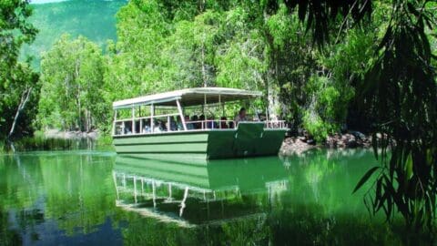 A certified tour boat floats on a calm river surrounded by lush greenery and dense forest.