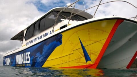 A colorful boat with "Swim with Whales" and "Dive Hervey Bay" logos on the sides is floating on the water under a cloudy sky, showcasing its sustainable practices.