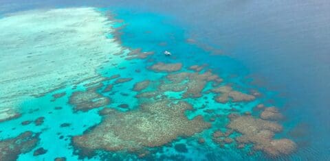 Aerial view of a boat surrounded by vibrant coral reefs in clear turquoise waters, showcasing the beauty of nature.