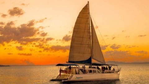 A white sailing catamaran with a crowd on board glides across calm waters at sunset, offering a serene tour of nature's evening beauty.