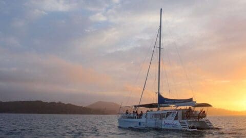 A white catamaran sails on calm waters at sunset with an island in the background, offering a serene ecotourism experience.