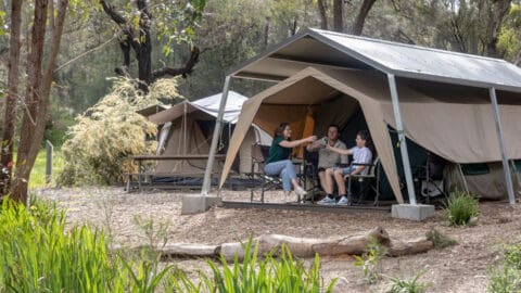 Two people sit outside a tent on a deck at a campsite in Australia, sharing what looks like a drink. Another person sits nearby. Another tent can be seen next to them. Trees and greenery, reminiscent of Taronga's conservation areas, surround the site.