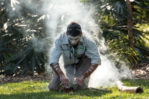 A person wearing a green shirt performs a smoking ceremony, kneeling on grass with smoke rising from a small fire surrounded by Australian greenery. Their face and arms are painted with white markings, embodying the spirit of conservation celebrated at Taronga.