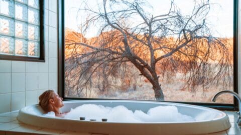 A person relaxes in a bubble bath near a large window, facing an inspiring dry, leafless tree and a desert-like landscape outside, perfect for reflecting on past journeys.