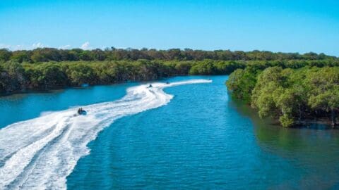 Three jet skis create white trails in the blue water of a lush, tree-lined river under a clear sky, turning this scenic view into an exciting jet ski safari adventure.