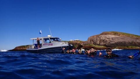 A group of scuba divers on a tour float in the ocean near a boat named "Jetty Dive," with rocky hills and blue skies in the background.