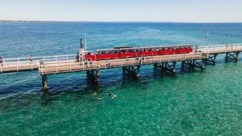 A train with passengers travels along the wooden pier of Busselton Jetty over clear turquoise water in Western Australia, attracting tourism. Swimmers are visible in the water below.