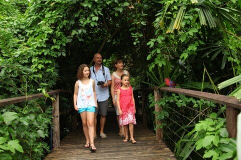 A family of four, including two young girls and their parents, walks along a wooden path through lush greenery. The father holds a camera, capturing moments of their ecotourism adventure.