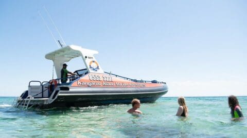 A boat labeled "Kangaroo Island Marine Adventures" is anchored in shallow water, with three people swimming nearby and one person on the boat, enjoying the natural surroundings.