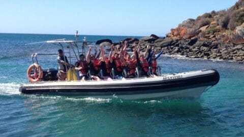 A group of people wearing life jackets on a speedboat with raised hands enjoying a nature tour near a rocky shoreline.