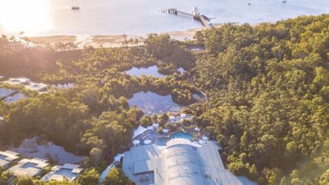 Aerial view of a coastal area with dense greenery, a pier extending into the water, and buildings partially visible among the trees, ideal for sustainable ecotourism.