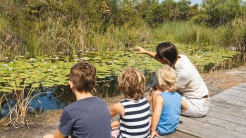 A woman and three children sit on a wooden dock by a lily pad-covered pond, with the woman pointing towards something in the water, perhaps sharing stories from her recent sustainable tour.