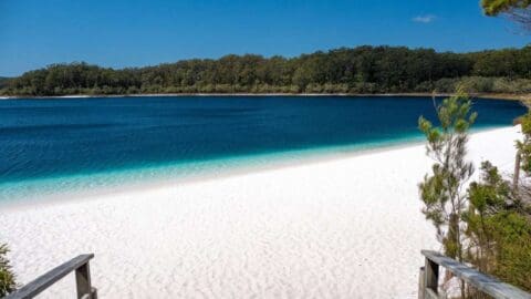 Explore a pristine beach with white sand leading to a clear blue lake, surrounded by dense forest under a clear blue sky. Embrace the beauty of nature on this perfect tour destination, with accommodations that let you soak in the serene environment.