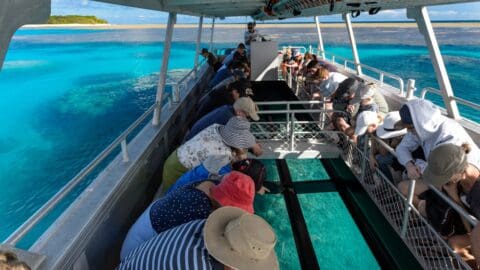 People on a boat observe marine life and coral through glass panels on the floor, surrounded by clear blue water with a distant shoreline visible, as part of an ecotourism adventure.