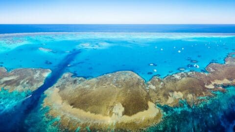 Aerial view of a large coral reef with turquoise water extending to the horizon under a clear blue sky, showcasing an ecotourism destination.