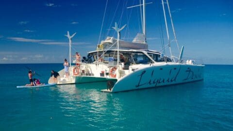 A catamaran named "Liquid Desire" in clear blue water, side view. People on board and in the water, enjoying activities like swimming and paddleboarding as part of an ecotourism tour.