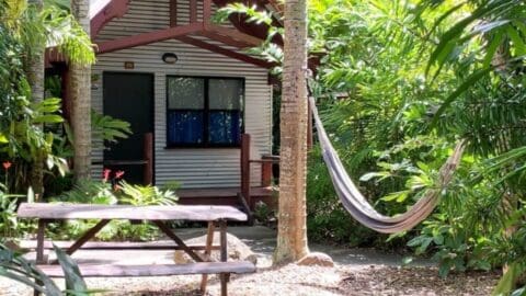 A small cabin with a porch, blue curtains, and a hammock strung between two trees. This sustainable accommodation features a wooden picnic table in the foreground, surrounded by lush foliage. Perfect for relaxing or taking a tour of the natural surroundings.